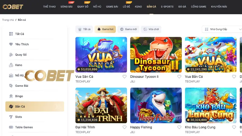 Quá trình hình thành và chiến lược phát triển của Cobet