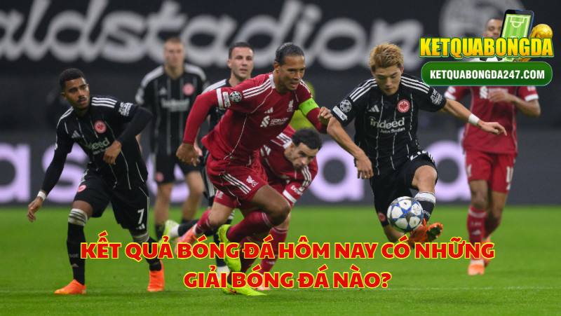 Kết Quả Bóng Đá Hôm Nay Có Những Giải Bóng Đá Nào?